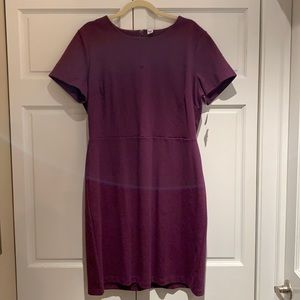 NWT Purple Dress